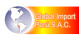 Global Import logo